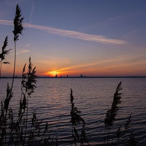 NicoleStoltz Naturfotografie